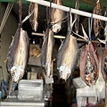 IMG_E4766.JPG