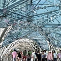 IMG_2756.JPG