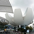 S5A06019.JPG