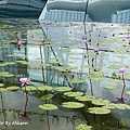 S5A06073.JPG