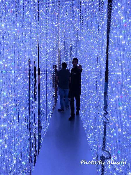 －＞向天空綻放的白色蓮花   新加坡藝術科學博物館