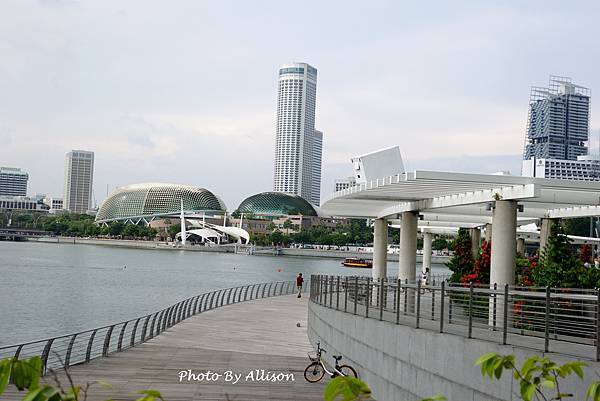 －＞向天空綻放的白色蓮花   新加坡藝術科學博物館