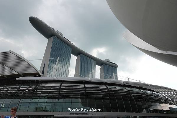 －＞向天空綻放的白色蓮花   新加坡藝術科學博物館
