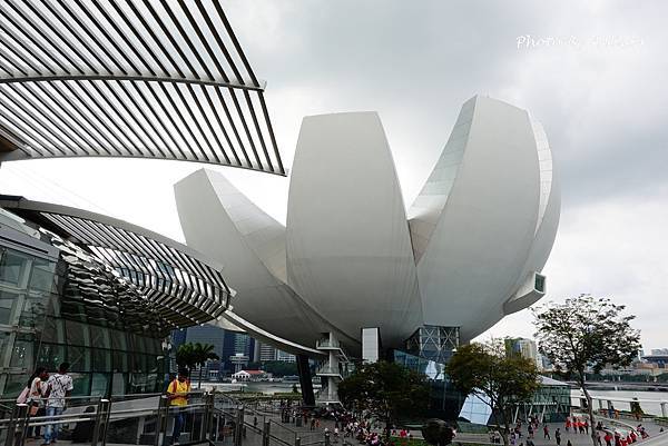 －＞向天空綻放的白色蓮花   新加坡藝術科學博物館