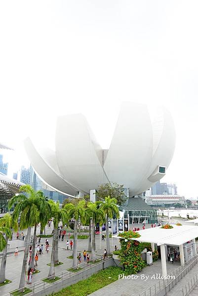 －＞向天空綻放的白色蓮花   新加坡藝術科學博物館
