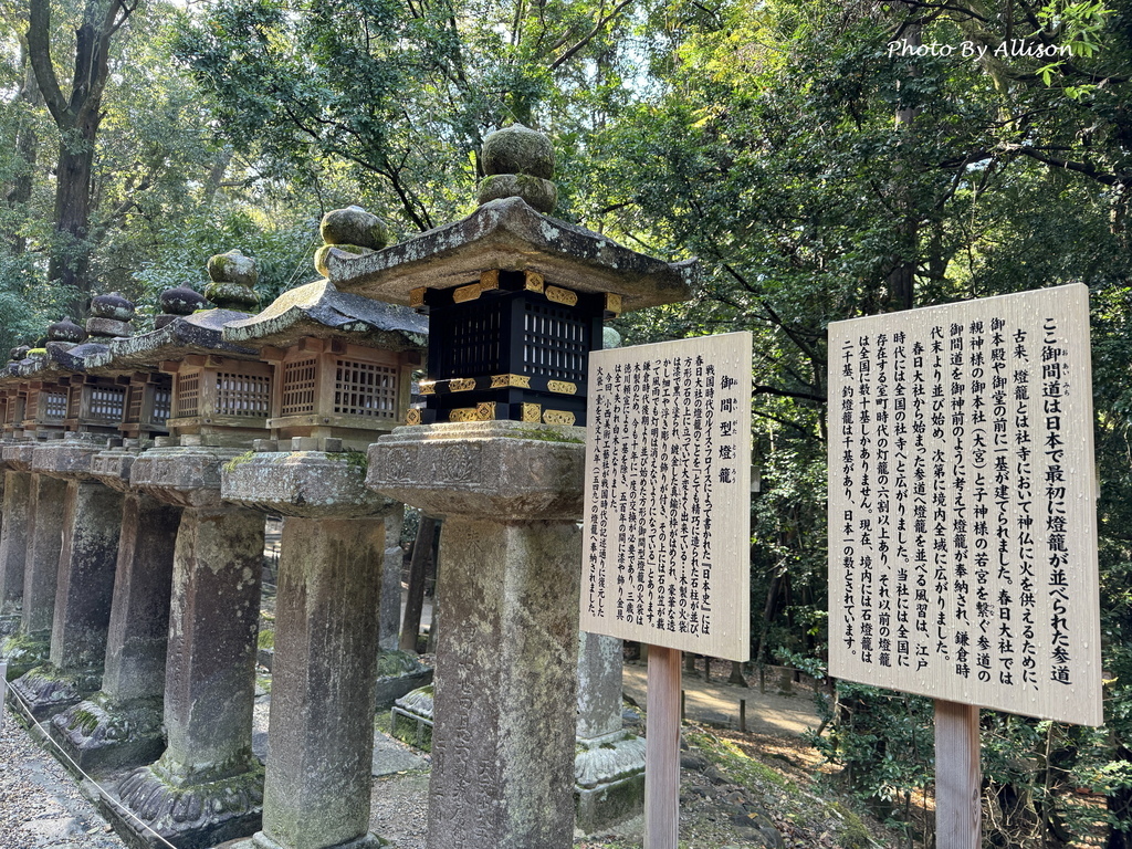 －＞11/10初抵奈良－＞11/11奈良公園－＞萌翻了的奈良