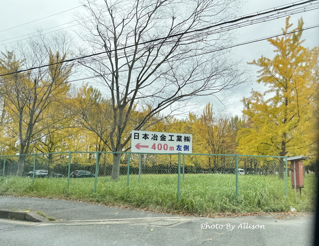－＞再把楓紅擁滿懷2024京都賞楓－成相寺