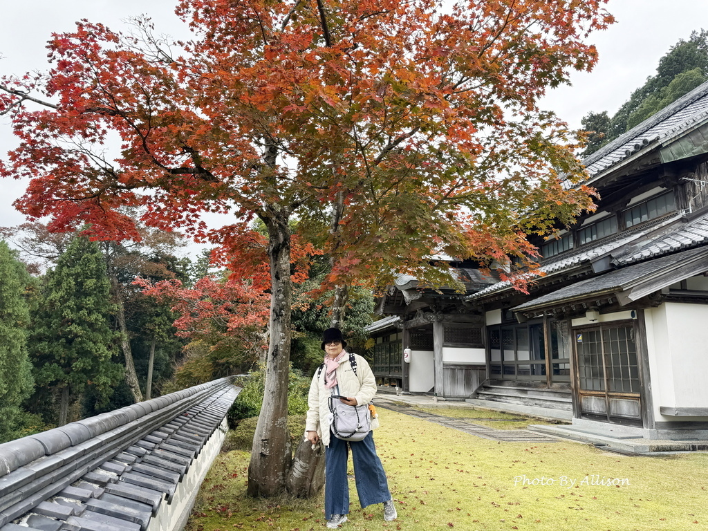 －＞再把楓紅擁滿懷2024京都賞楓－成相寺