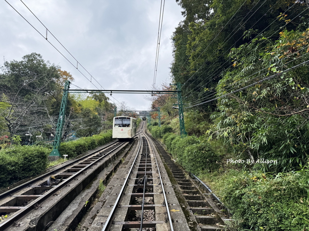 －＞再把楓紅擁滿懷2024京都賞楓－成相寺