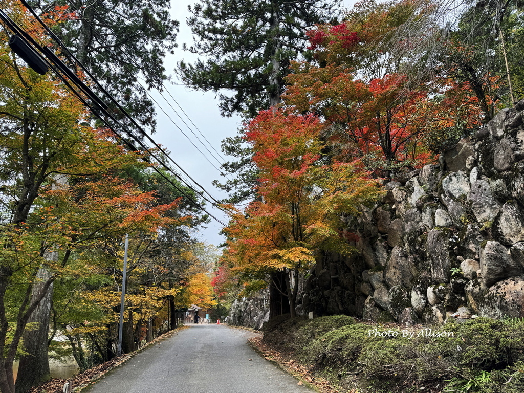 －＞再把楓紅擁滿懷2024京都賞楓－成相寺