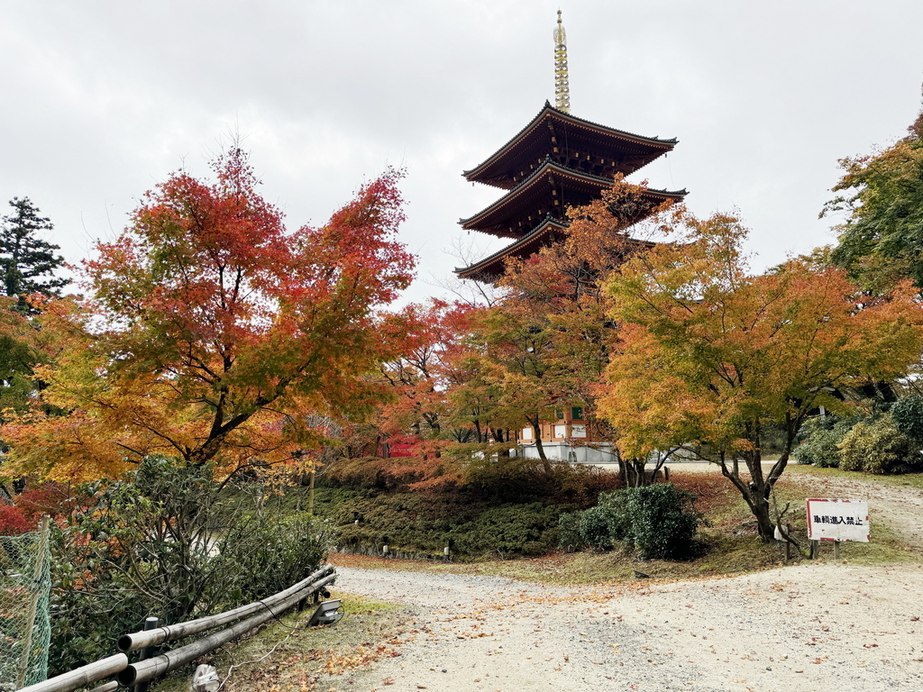 －＞再把楓紅擁滿懷2024京都賞楓－成相寺