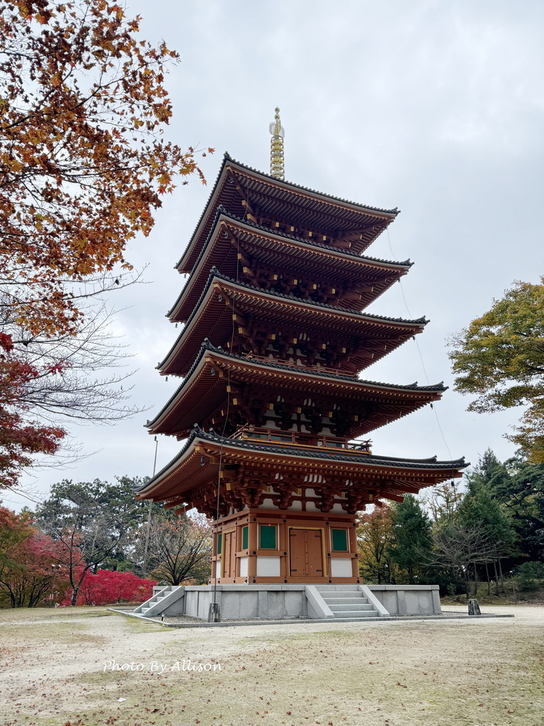 －＞再把楓紅擁滿懷2024京都賞楓－成相寺
