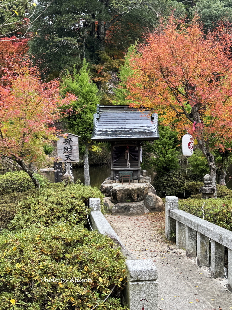 －＞再把楓紅擁滿懷2024京都賞楓－成相寺