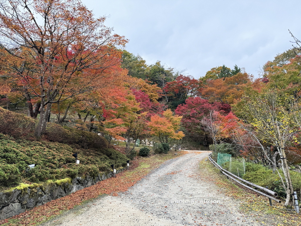 －＞再把楓紅擁滿懷2024京都賞楓－成相寺