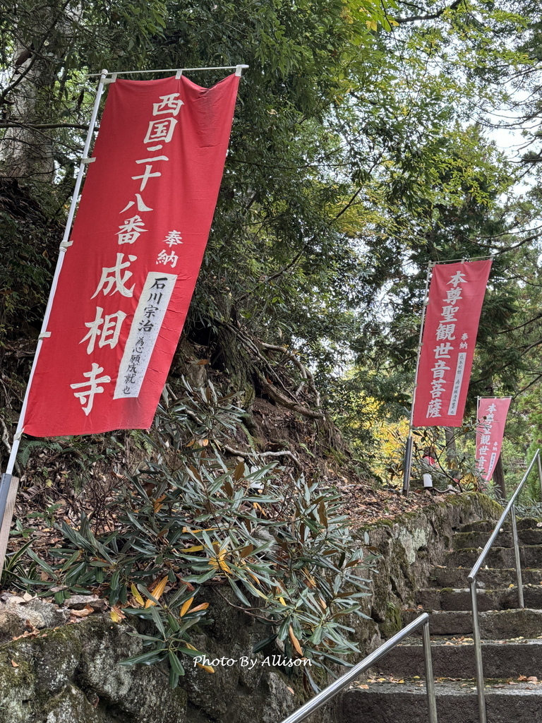－＞再把楓紅擁滿懷2024京都賞楓－成相寺