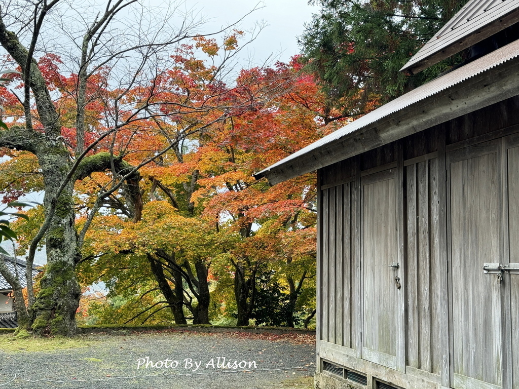 －＞再把楓紅擁滿懷2024京都賞楓－成相寺