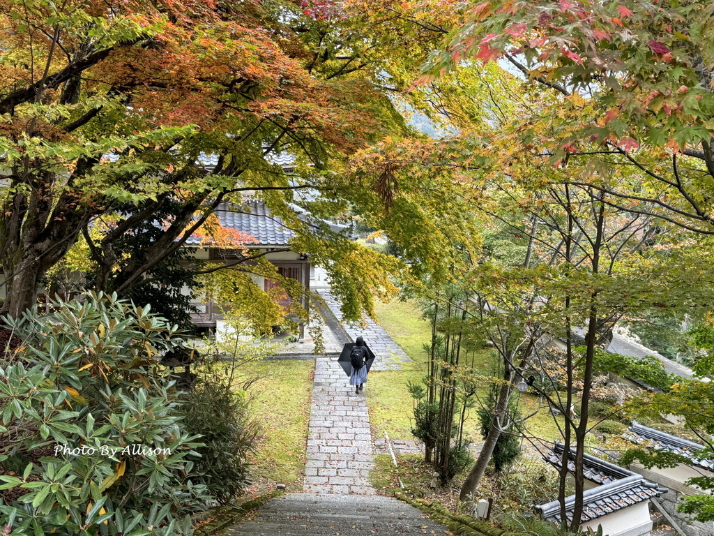 －＞再把楓紅擁滿懷2024京都賞楓－成相寺
