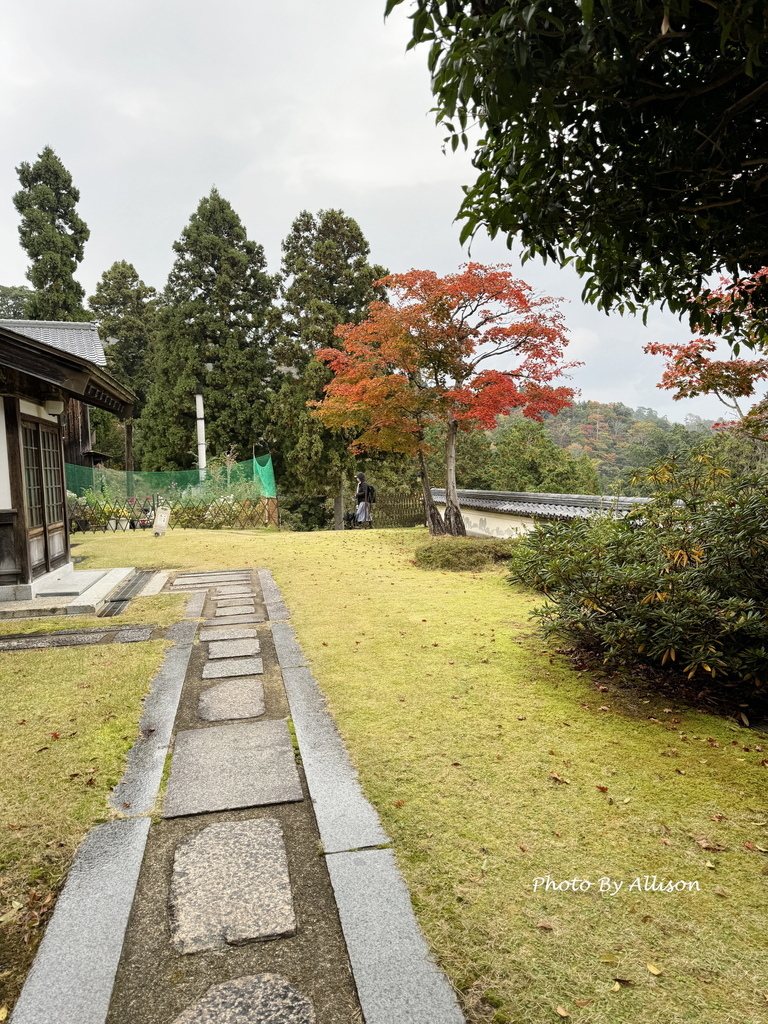 －＞再把楓紅擁滿懷2024京都賞楓－成相寺