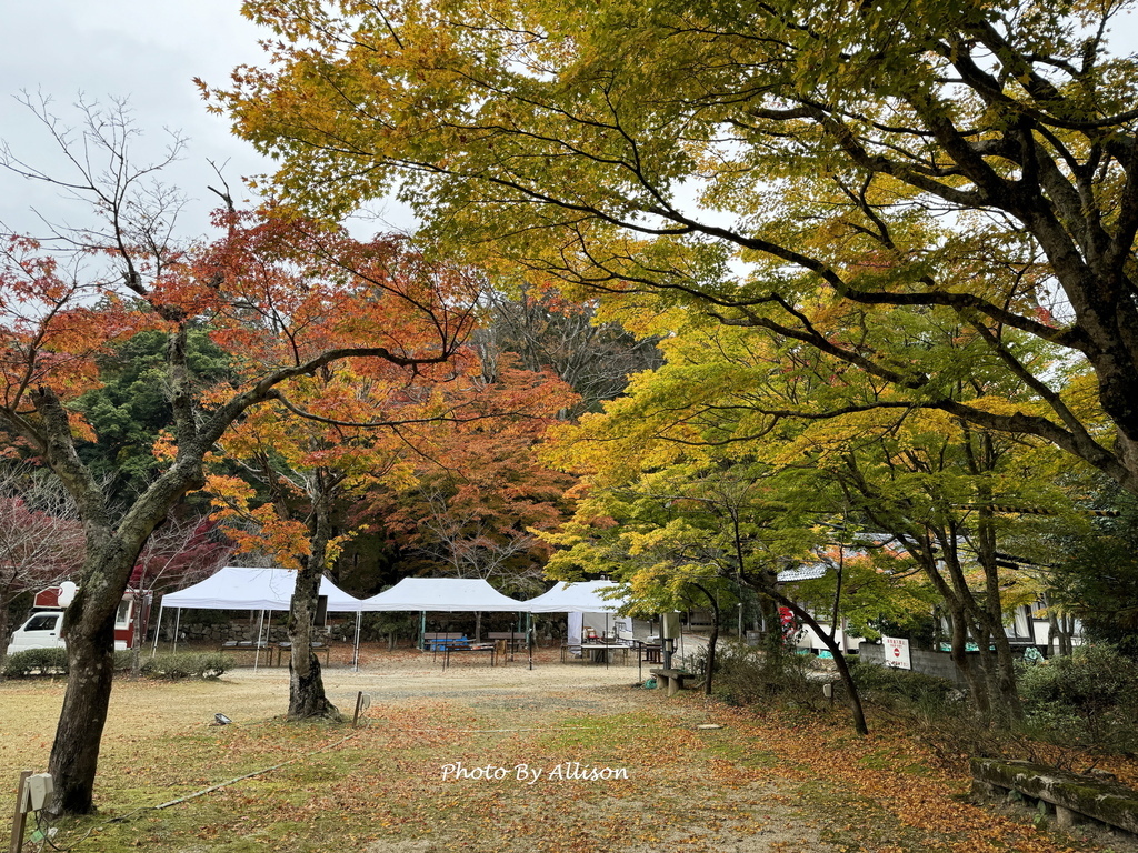 －＞再把楓紅擁滿懷2024京都賞楓－成相寺