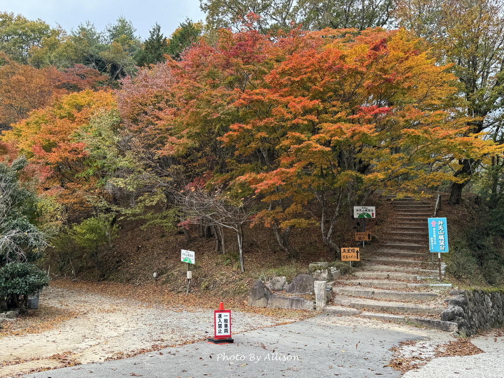 －＞再把楓紅擁滿懷2024京都賞楓－成相寺