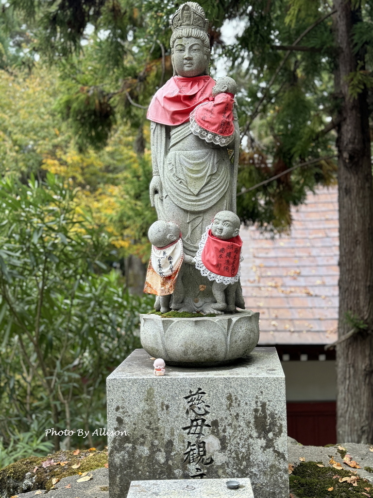 －＞再把楓紅擁滿懷2024京都賞楓－成相寺