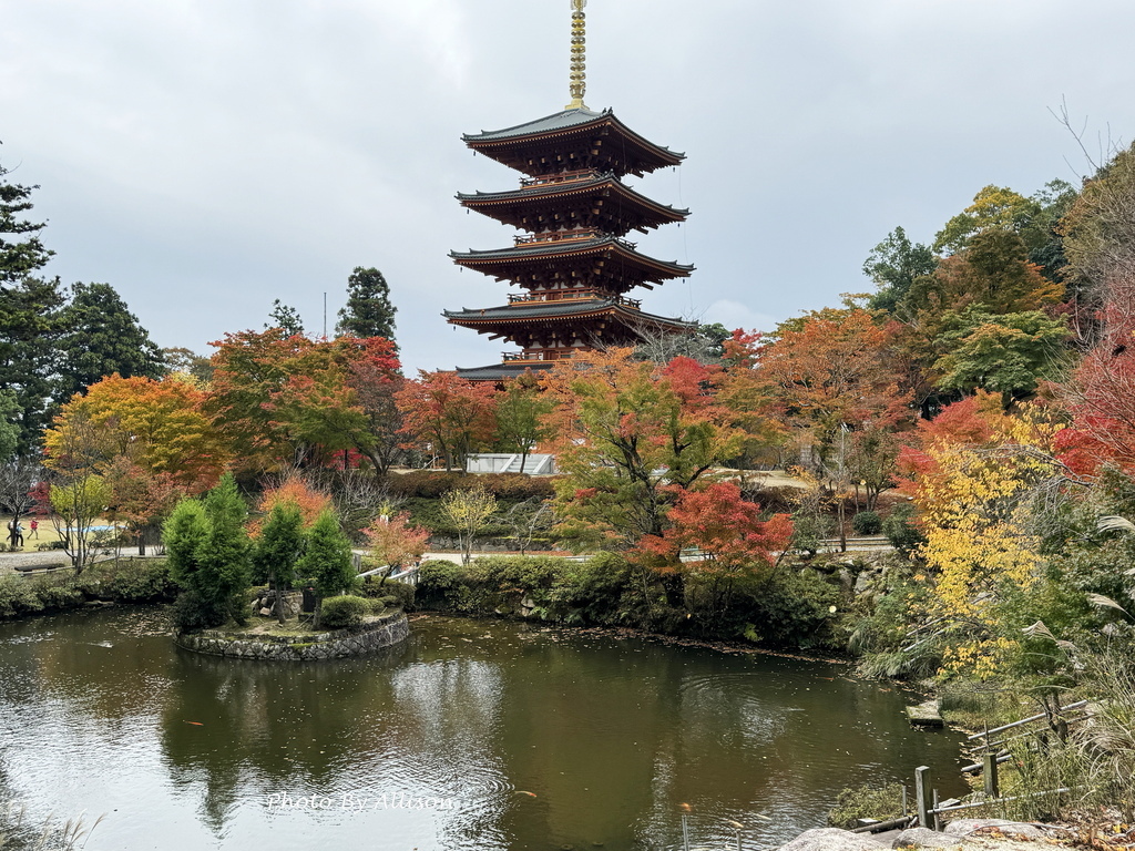 －＞再把楓紅擁滿懷2024京都賞楓－成相寺