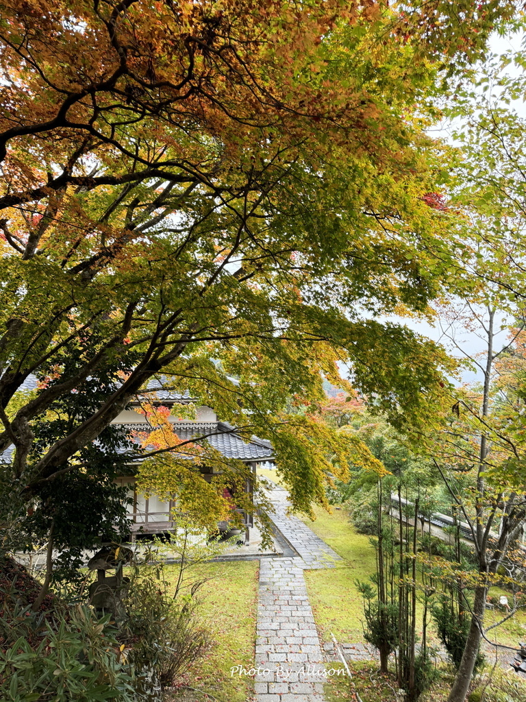 －＞再把楓紅擁滿懷2024京都賞楓－成相寺