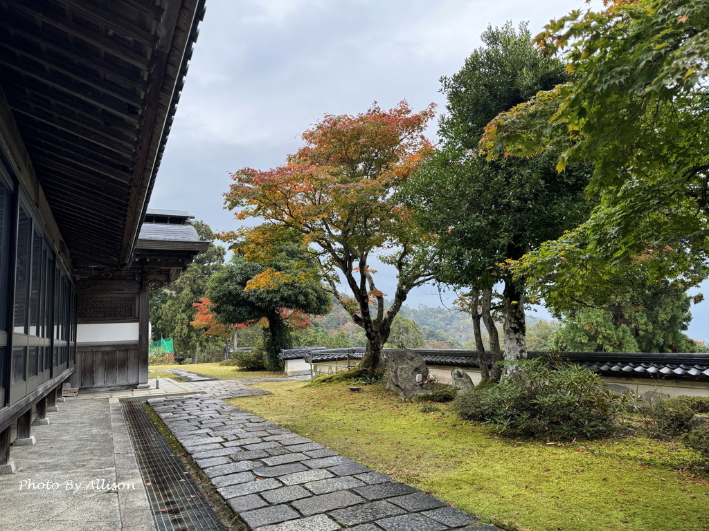 －＞再把楓紅擁滿懷2024京都賞楓－成相寺