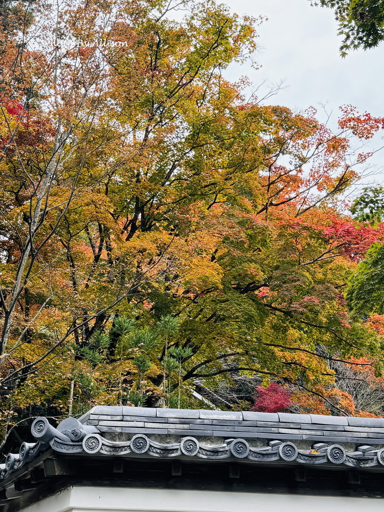 －＞再把楓紅擁滿懷2024京都賞楓－成相寺