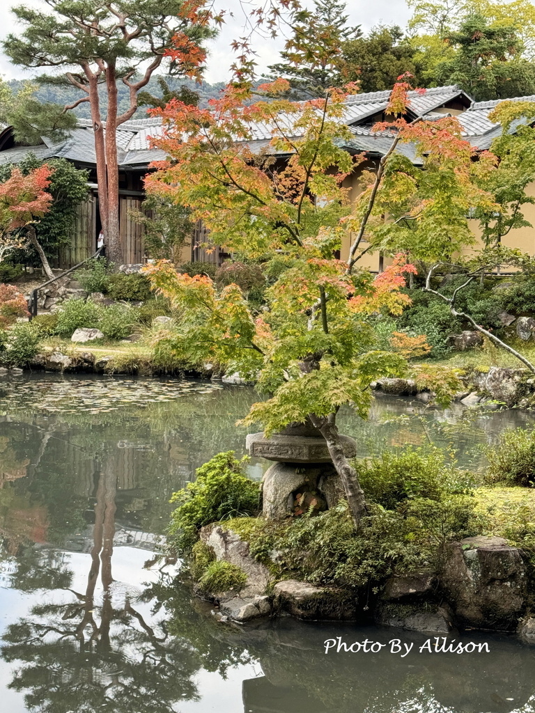 －＞2024奈良賞楓－依水園