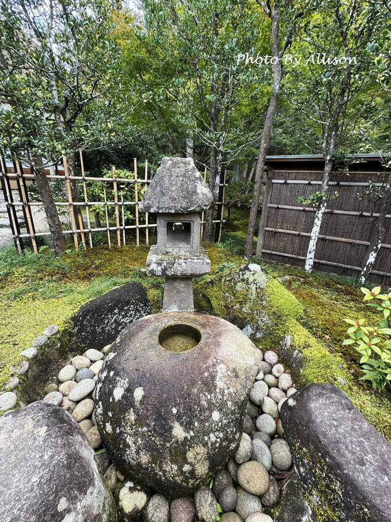 －＞2024奈良賞楓－依水園
