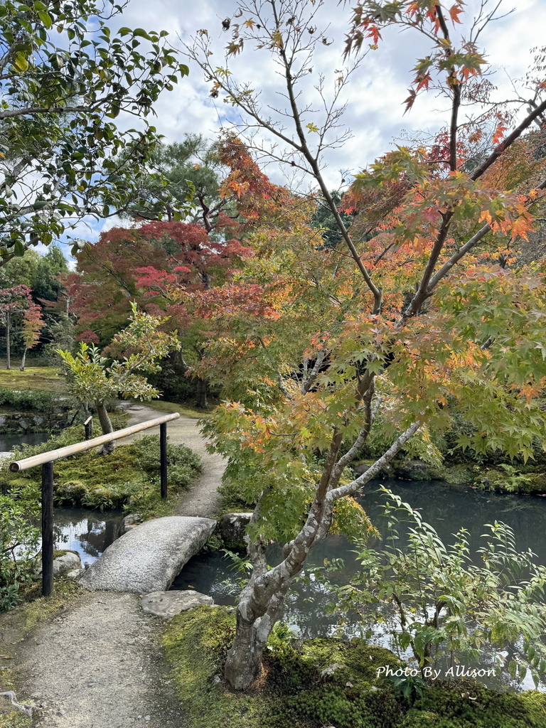 －＞2024奈良賞楓－依水園
