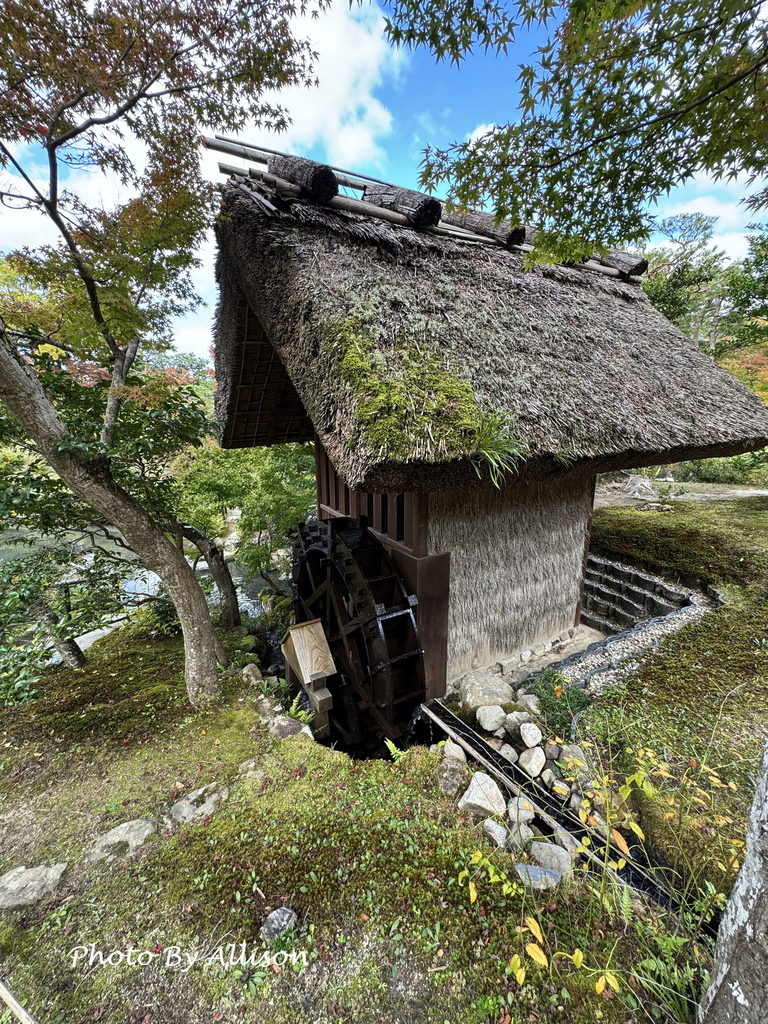 －＞2024奈良賞楓－依水園