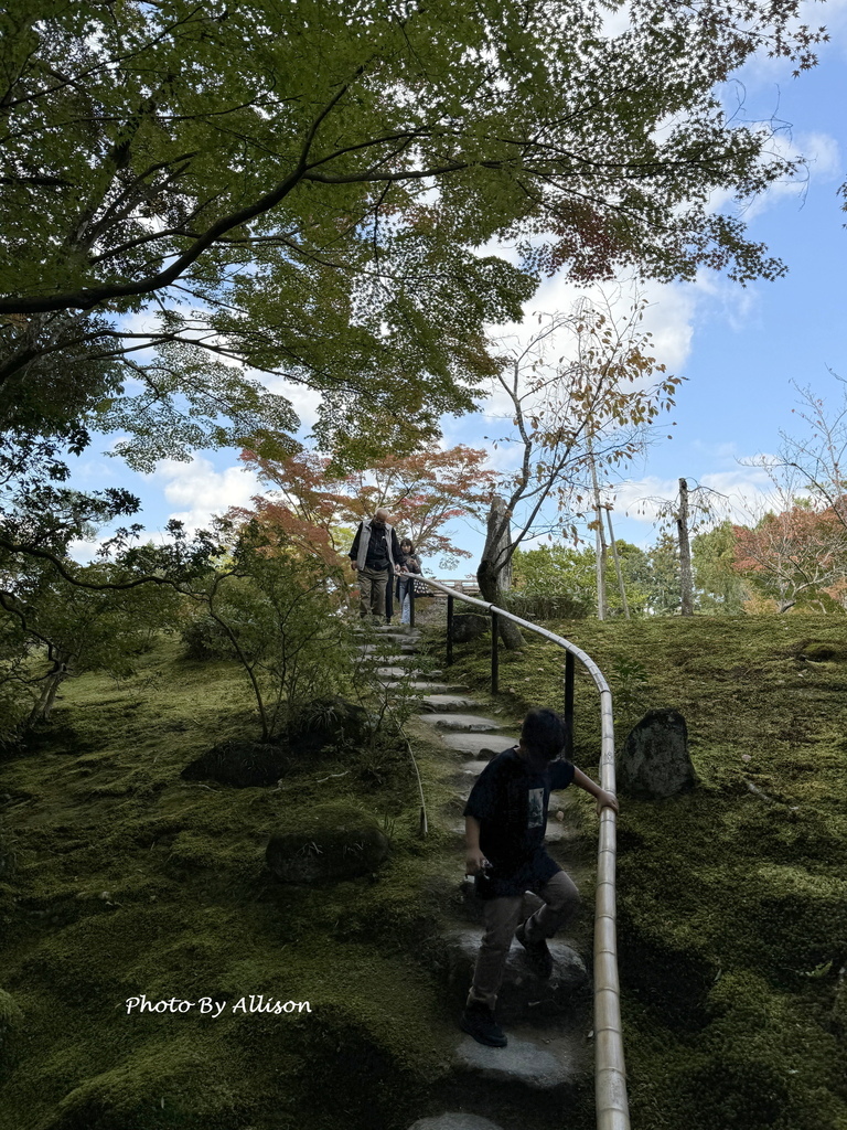 －＞2024奈良賞楓－依水園