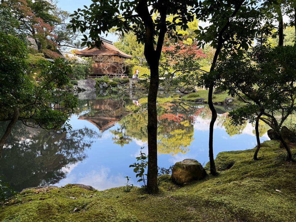 －＞2024奈良賞楓－依水園