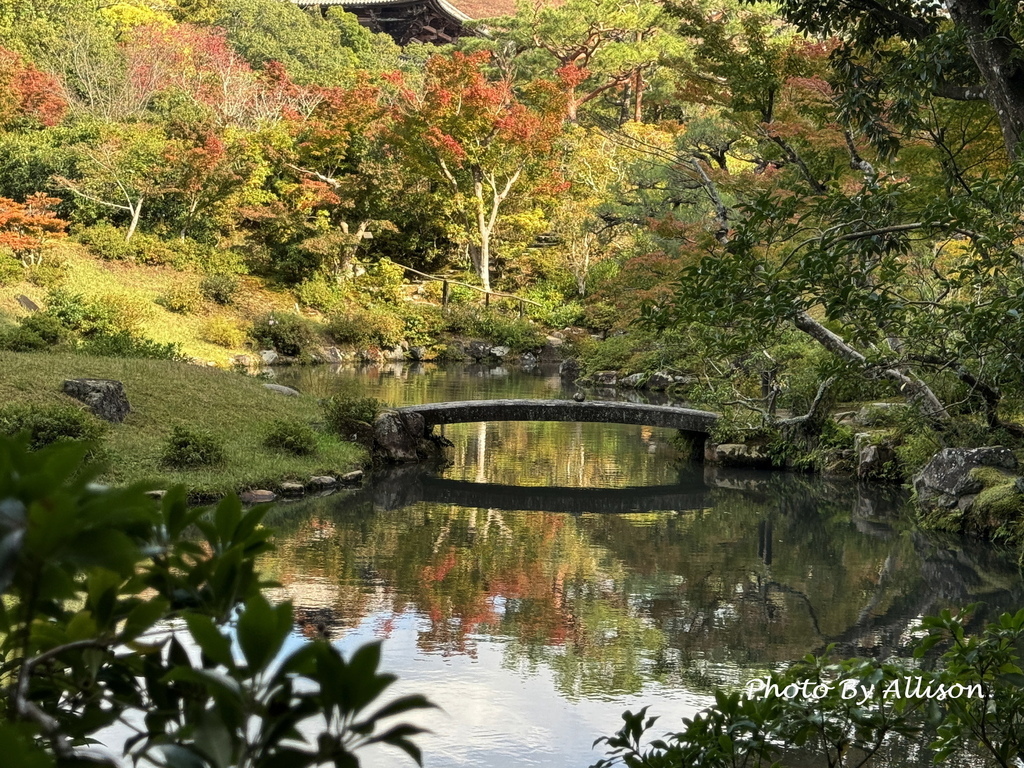 －＞2024奈良賞楓－依水園