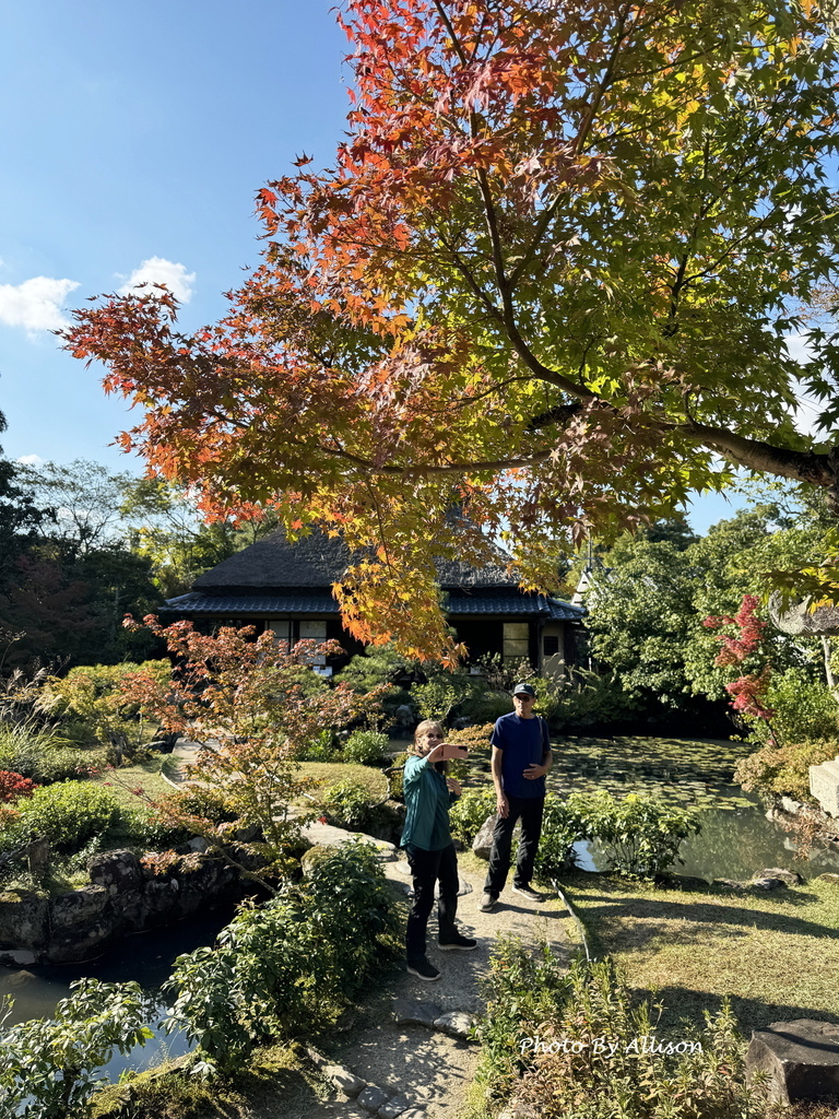 －＞2024奈良賞楓－依水園