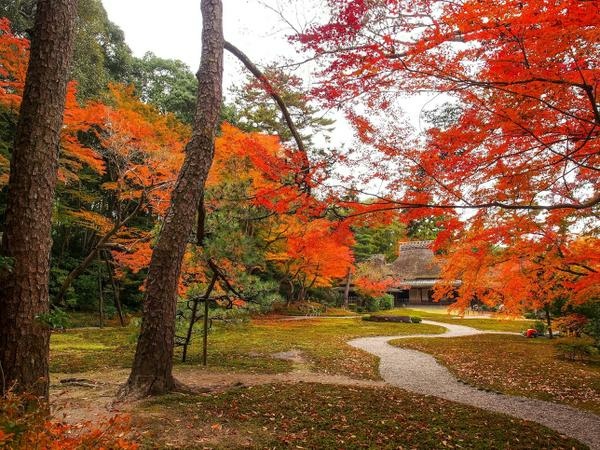 －＞2024奈良賞楓 －走進Yoshikien Garden