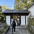 IMG_6969.JPG