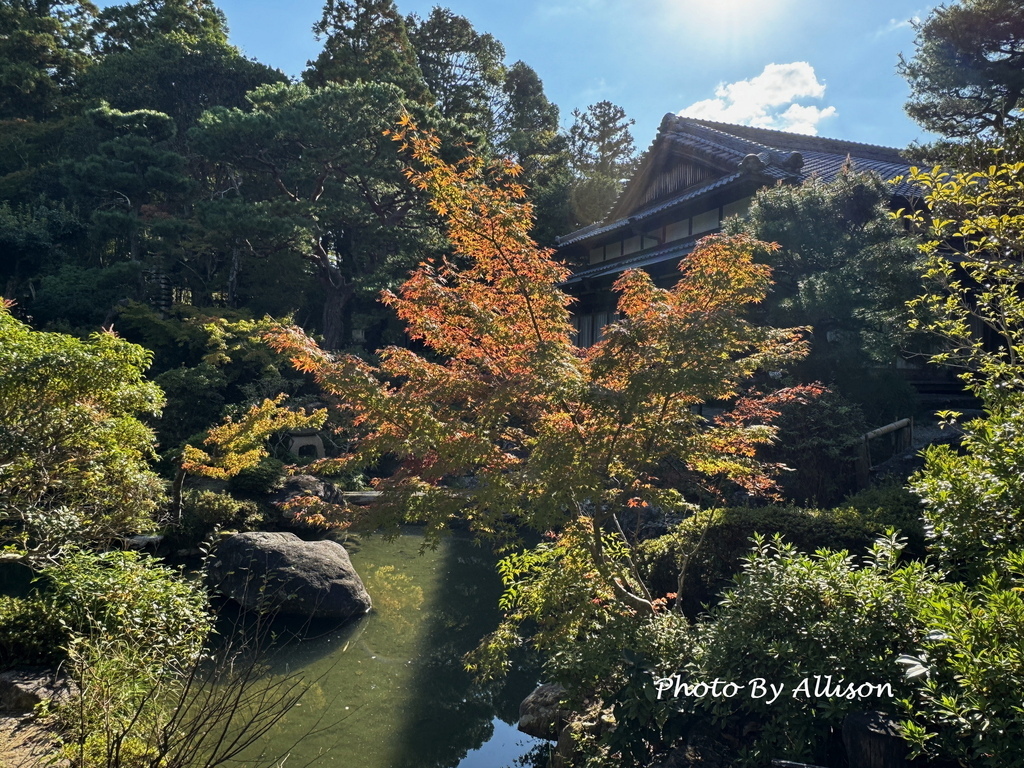 －＞2024奈良賞楓 －走進Yoshikien Garden