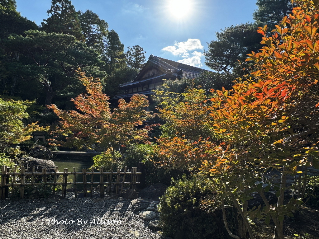 －＞2024奈良賞楓 －走進Yoshikien Garden