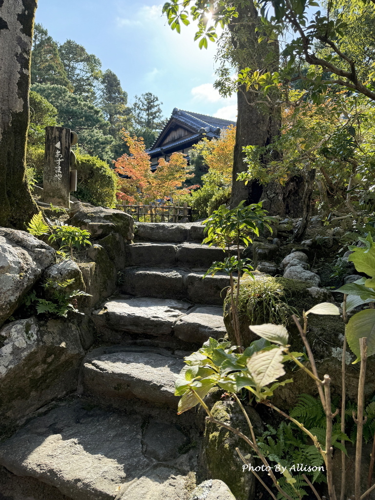 －＞2024奈良賞楓 －走進Yoshikien Garden