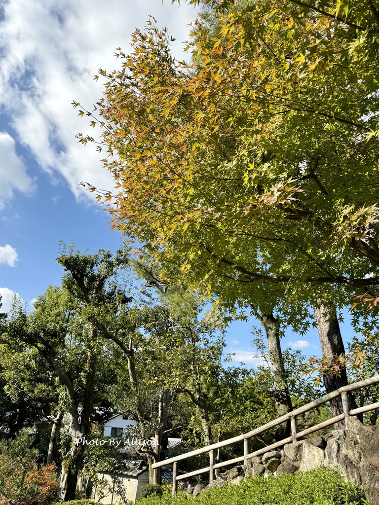 －＞2024奈良賞楓 －走進Yoshikien Garden