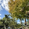 IMG_6982.JPG