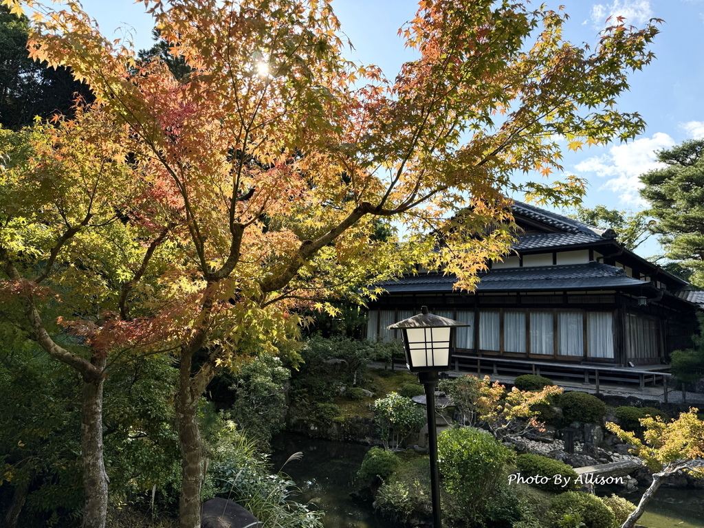 －＞2024奈良賞楓 －走進Yoshikien Garden