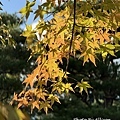 IMG_6992.JPG