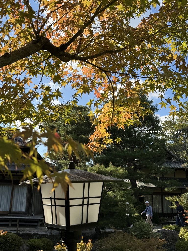 －＞2024奈良賞楓 －走進Yoshikien Garden