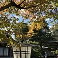 IMG_6991.JPG