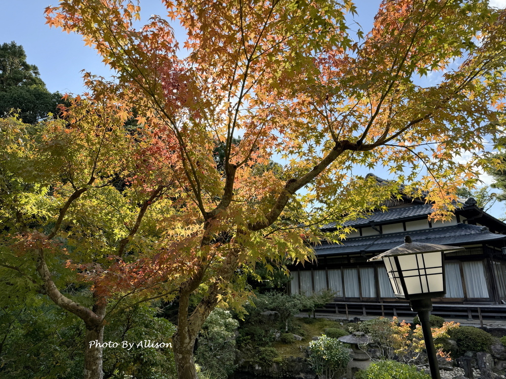 －＞2024奈良賞楓 －走進Yoshikien Garden