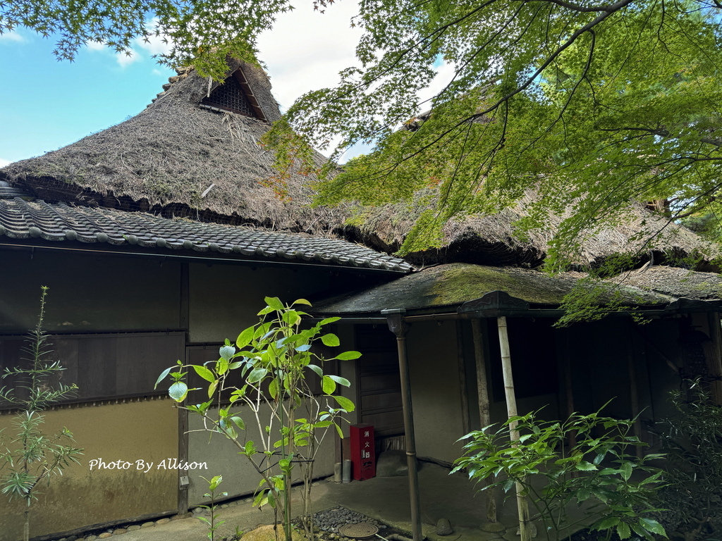 －＞2024奈良賞楓 －走進Yoshikien Garden